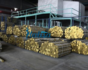 SEN VÒI ITALISA CÓ PHÔI ĐÚC ĐỒNG, PHÂN PHỐI TOÀN QUỐC